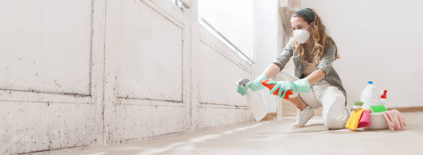 Best Mold Removal for HVAC Installations  in Nashwauk, MN